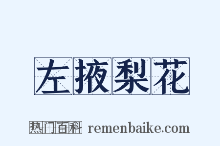 左掖梨花是什么意思的图片